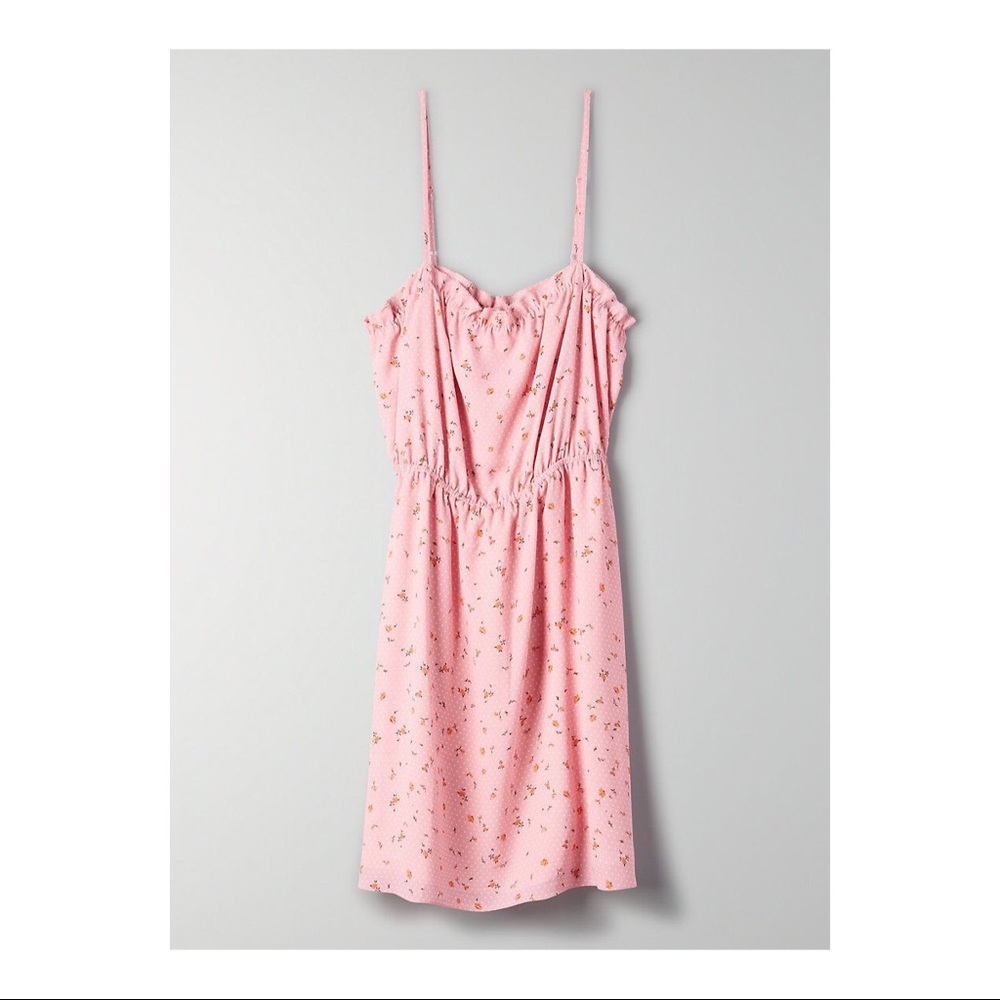 Aritzia Sunday best pink floral polka dot dress